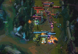 球迷的反应 球迷的反应