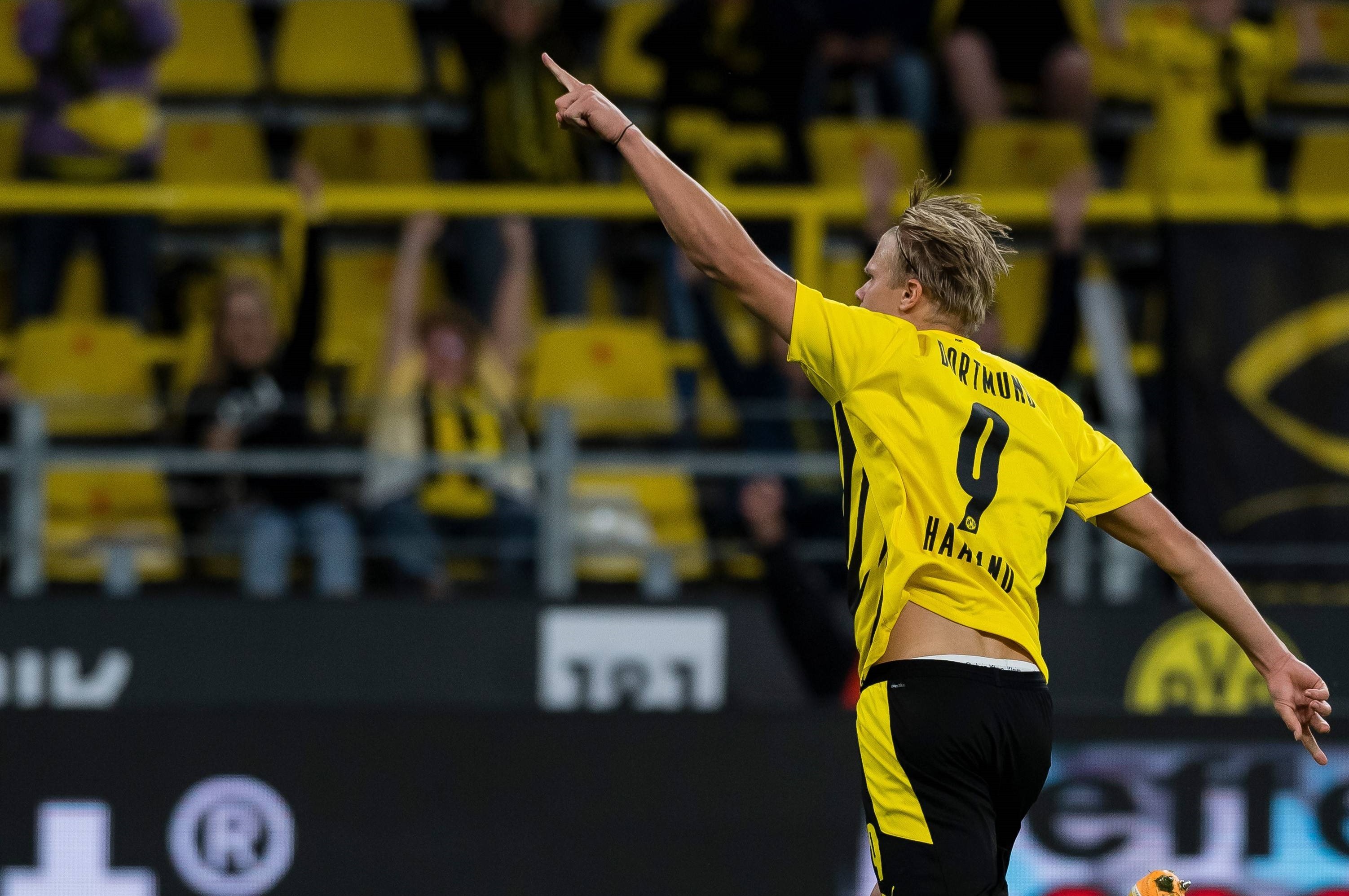 这种倾向被 这种倾向被